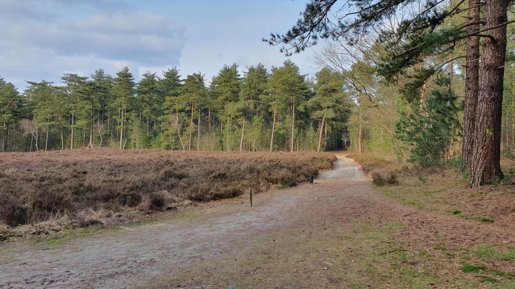 Bed And Breakfast Bij Ons In Het Bos Berg-op-Zoom Extérieur photo