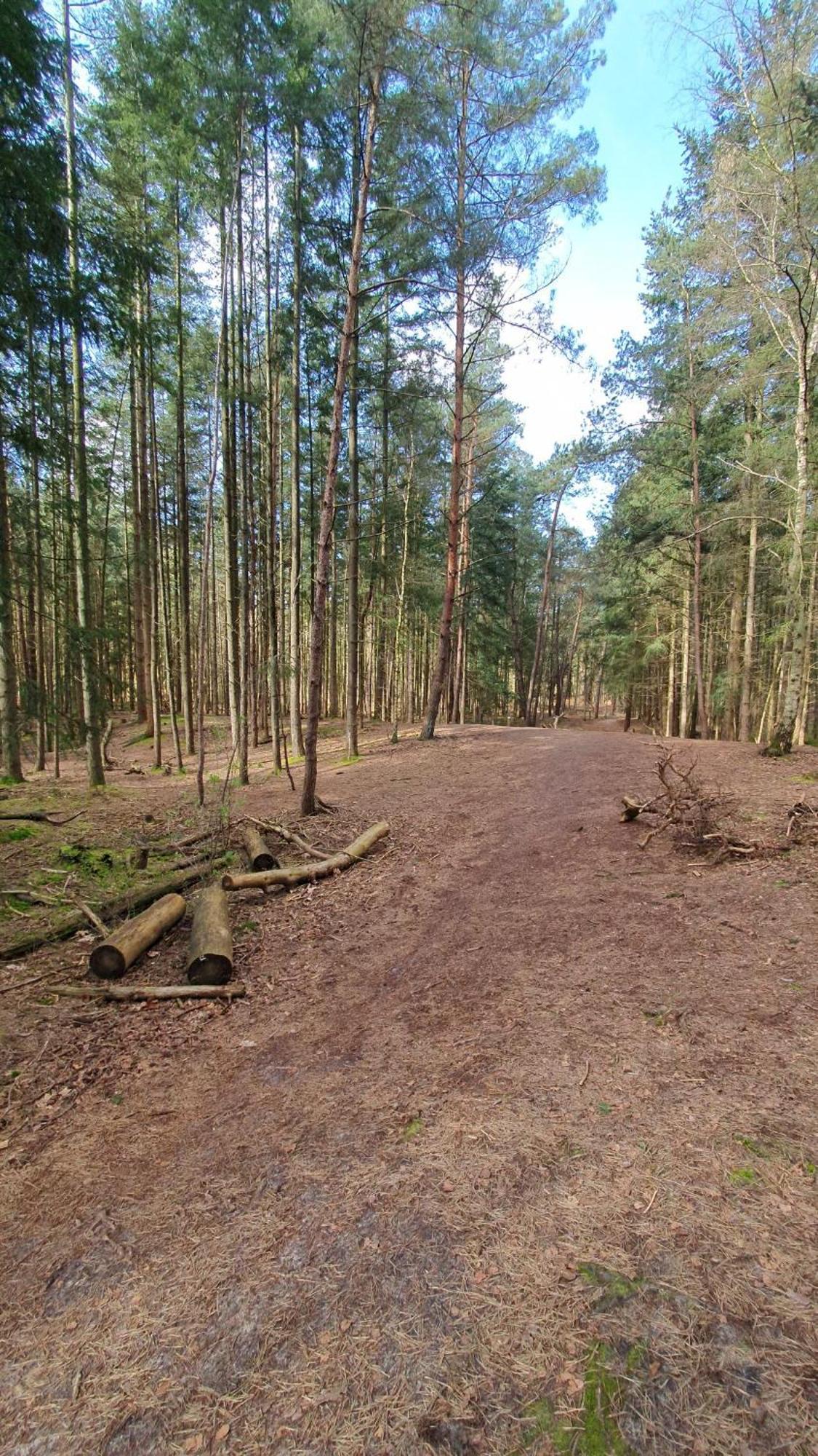 Bed And Breakfast Bij Ons In Het Bos Berg-op-Zoom Extérieur photo